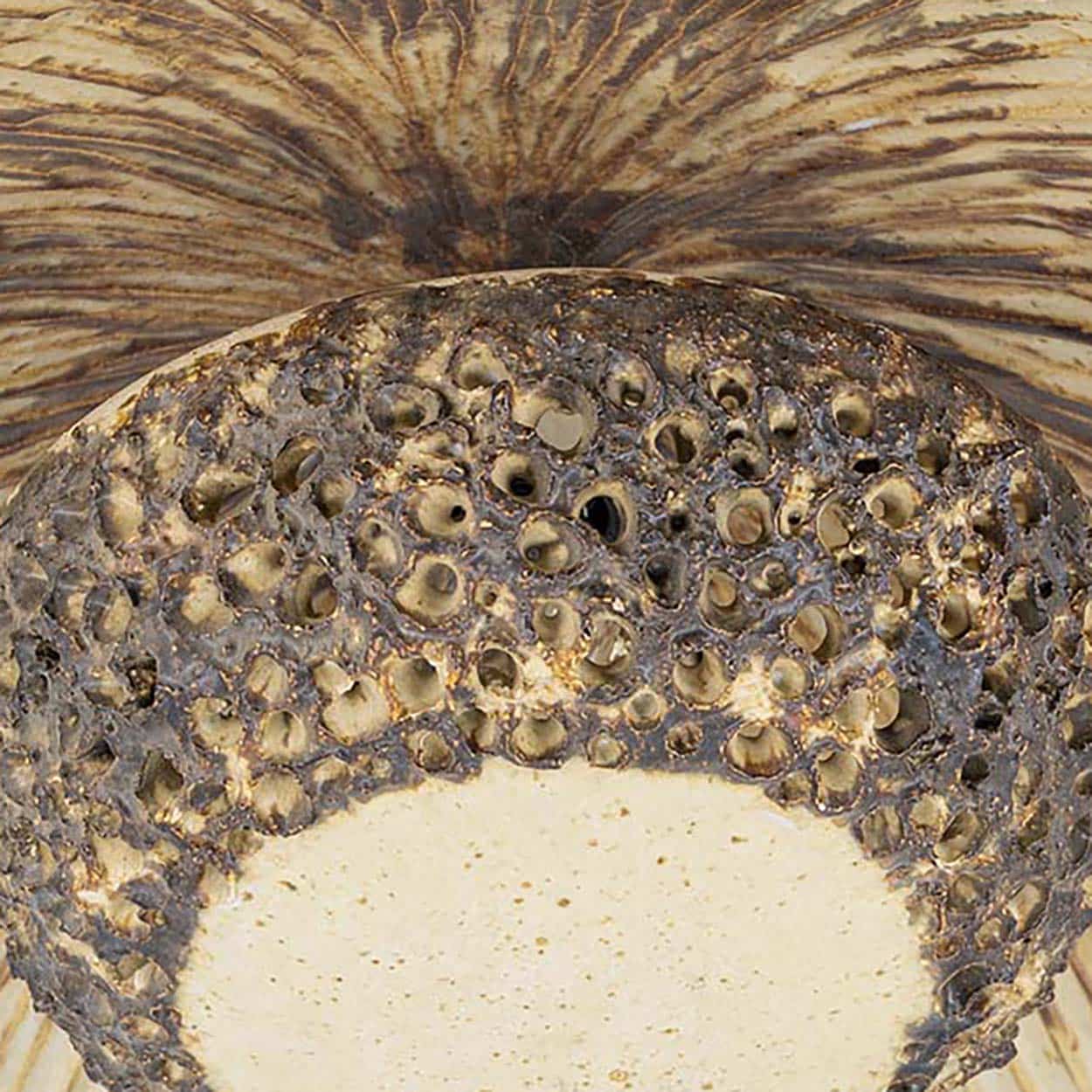 Ceramic Round Wall Light Holes in the style of Axella, Denmark 1970