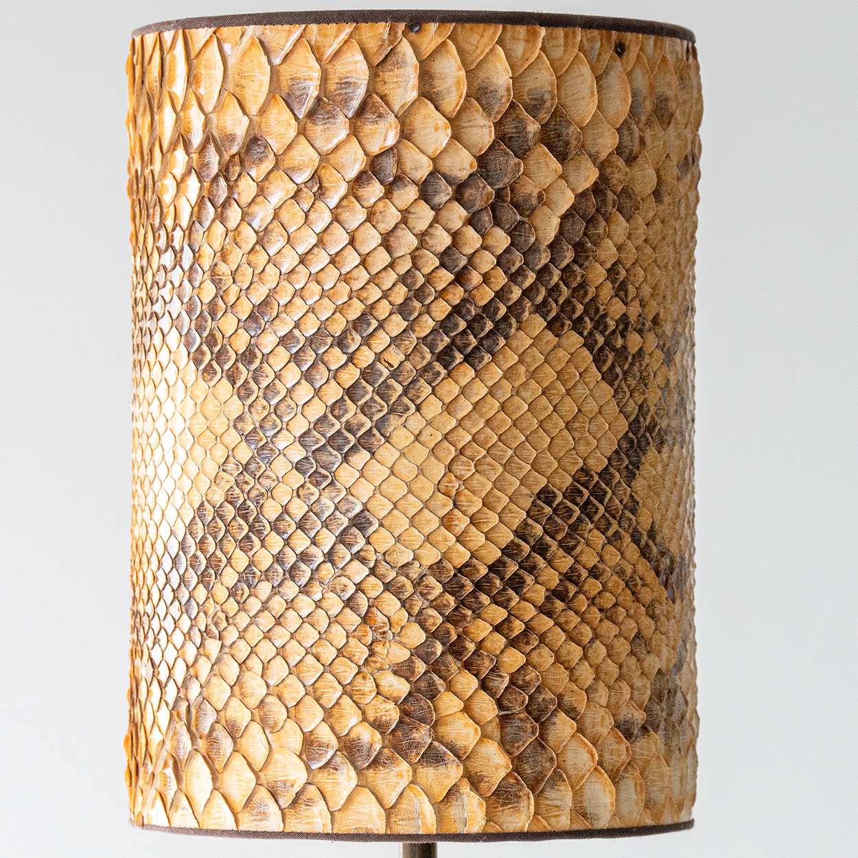 Nautilus Brass Table Lamp, Custom Made Snake Skin Pattern Lampshade by R. Houben